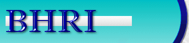 Behavioral Health Resources, Inc.
